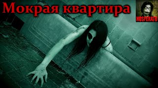 Истории на ночь - Мокрая квартира