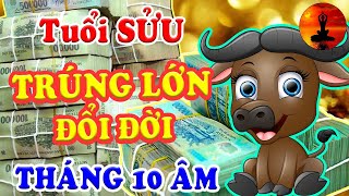 Tuổi SỬU Tháng 10 Âm Lịch BÙNG NỔ TÀI LỘC, Trả Sạch Nợ Nần Khiến Cả Làng Ghen Tỵ