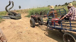 ИШЧИЛАР БУНИ КУРИБ ДАХШАТКА ТУШИШДИ