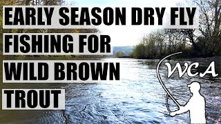 Early Season UK Dry Fly Fishing with the Elk Hair Caddis for Brown Trout