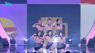 [예능연구소 직캠] 베리굿 비비디 바비디 부 @쇼!음악중심_20170429 BibbidiBobbidiBoo Berry Good in 4K
