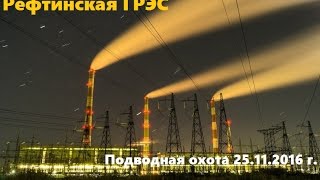 Рефтинское водохранилище. Стерлять. Карп кои. Американский сом. Браконьеры.