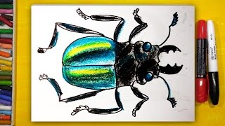 Как нарисовать ЖУКА, Урок рисования для детей от 3 лет | Раскраска для детей