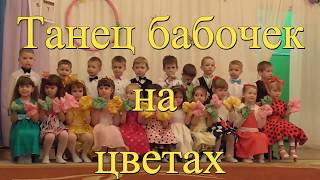 Танец бабочек  на цветах