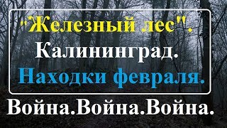 Калининград.Коп по войне в "Железном" лесу.