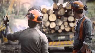 Профессиональные бензопилы и сучкорез Husqvarna