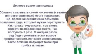 Трава чистотел - инструкция по применению в народной медицине