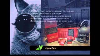 03 Shui-jin-gui - Чайная Церемония - Да Хун Пао - Чай - Улун