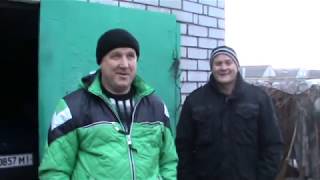 Николаевские голуби г. Павлоград.Январь.