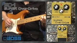 SD-1 SUPER OverDrive [BOSS Sound Check]