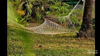 ARBOR VILLAS GOA ARPORA WITH PRIVATE POOL