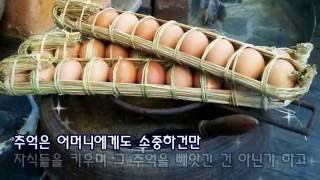 봄날 피고진 꽃에 대한 기억 - 신동호(낭송: 권금희) 사진: 전주경(꽃신)