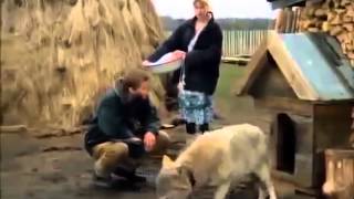 ЯРКИЙ, СИЛЬНЫЙ ОСТРОСЮЖЕТНЫЙ ФИЛЬМ, ПРИКЛЮЧЕНИЯ Весьегонская волчица Приключения, Мелодрама