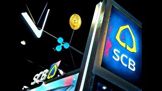 VECHAIN STACK IT UP!  XRP DOUBLE ATH? BTC 10K!
