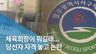 체육회장이 뭐길래...당선자 자격 놓고 논란