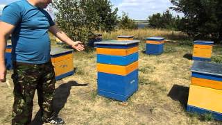 СРЕДСТВО ОТ ВОРОВСТВА ПЧЁЛ BEING theft of bees
