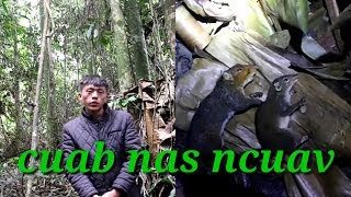 Mus yos hav zoov cuab nas ncuav zoo saib heev