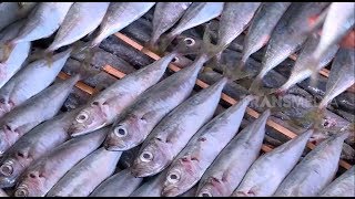 Begini Cara Pembuatan Petis Ikan Pindang Layang | RAGAM INDONESIA