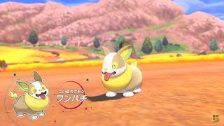 ポケットモンスター剣盾