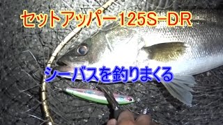 セットアッパー125S-DRでシーバスを釣りまくる！「ぶっ飛び！釣れるミノー」