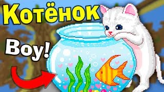 ?ТОП постройки от ПРО игроков! ФУТБОЛ и КОТ в МАЙНКРАФТ Битва строителей №521