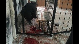 Кто и почему убил людей в Никополе