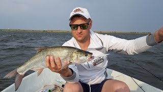 Рыбалка в Астрахани 2019. Замьяны .Открылись по ЖЕРЕХУ.