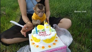 Wow Dodo So Much Surprise!! Mom Make Birthday 9 Months Old For Dodo