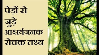 पेड़ों से जुड़े आश्चर्यजनक रोचक तथ्य | Interesting Facts About Trees | Rochak Baba