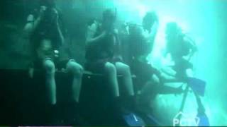 Homestead Resort Crater - Swimming and Scuba Diving