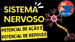 Fisiologia - Sistema neuromuscular - Potencial de ação e potencial de repouso - Aula 1