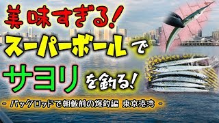美味すぎる！スーパーボールでサヨリを釣る！ - パックロッドで朝飯前の爆釣編 - 東京港湾部