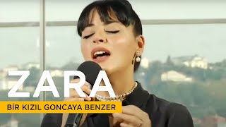 Zara - Bir Kızıl Goncaya Benzer