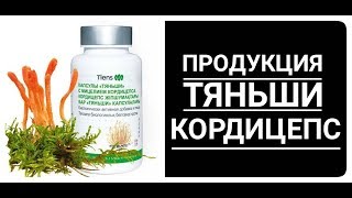 Продукция Тиенс. Кордицепс Тяньши. Продукция Tiens
