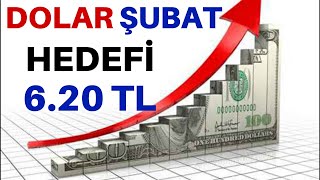 DOLAR ŞUBAT AYINDA 6.20 TL