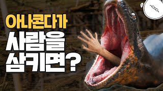 만약 아나콘다가 사람을 먹으면 어떻게 될까? [미나니의 스낵교양]