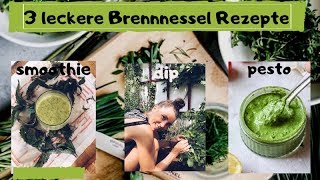 3 geniale Brennnessel Rezepte / ROHKOST