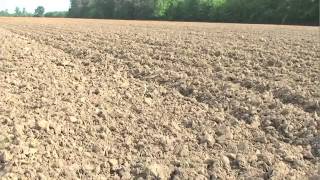 The Science of Healthy Soil