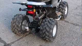 necht quad 150cc