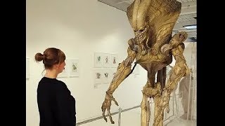 Внимание!!! То, что Вы увидите ниже, от Вас стараются всячески скрывать!