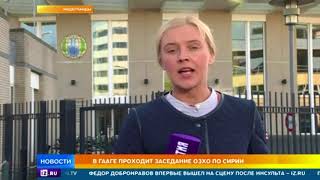 В ОЗХО раскрыли подробности расследования химатаки в Сирии