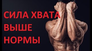 КАК РАЗВИТЬ СТАЛЬНЫЕ КЛЕШНИ ИЛИ СИЛА ХВАТА ВЫШЕ НОРМЫ