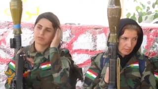 Мир глазами Радио Свободная Европа/Радио Свобода - 13 ноября