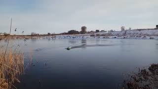Тестируем на водоеме прикормочный кораблик для Олега из Краснограда