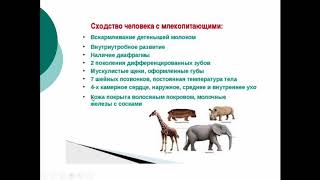 Биология. 9 класс. Место человека в системе органического мира. Людмила Ивановна. Profi-Teacher.ru