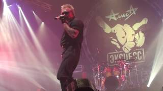 Алиса - На*бали (19.11.2016, СПб)