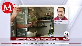 Conceden el segundo amparo para uso ludico de mariguana