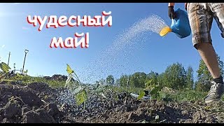КАК ПОСАДИТЬ В ГЛИНУ? САЖАЕМ ЗКС В АСФАЛЬТ. КУПОН ВНУТРИ, СКИДКИ -30% НА УСАД.РФ