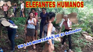 ELEFANTES AL ATAQUE? Vieneron más feroces. QUIEN BOTE MÁS BOTELLAS GANA. Si no te ríes pierdes ? p