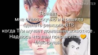 [ Реакция BTS] когда Т/и мучает домашнее животное( макнэ-лайн)
